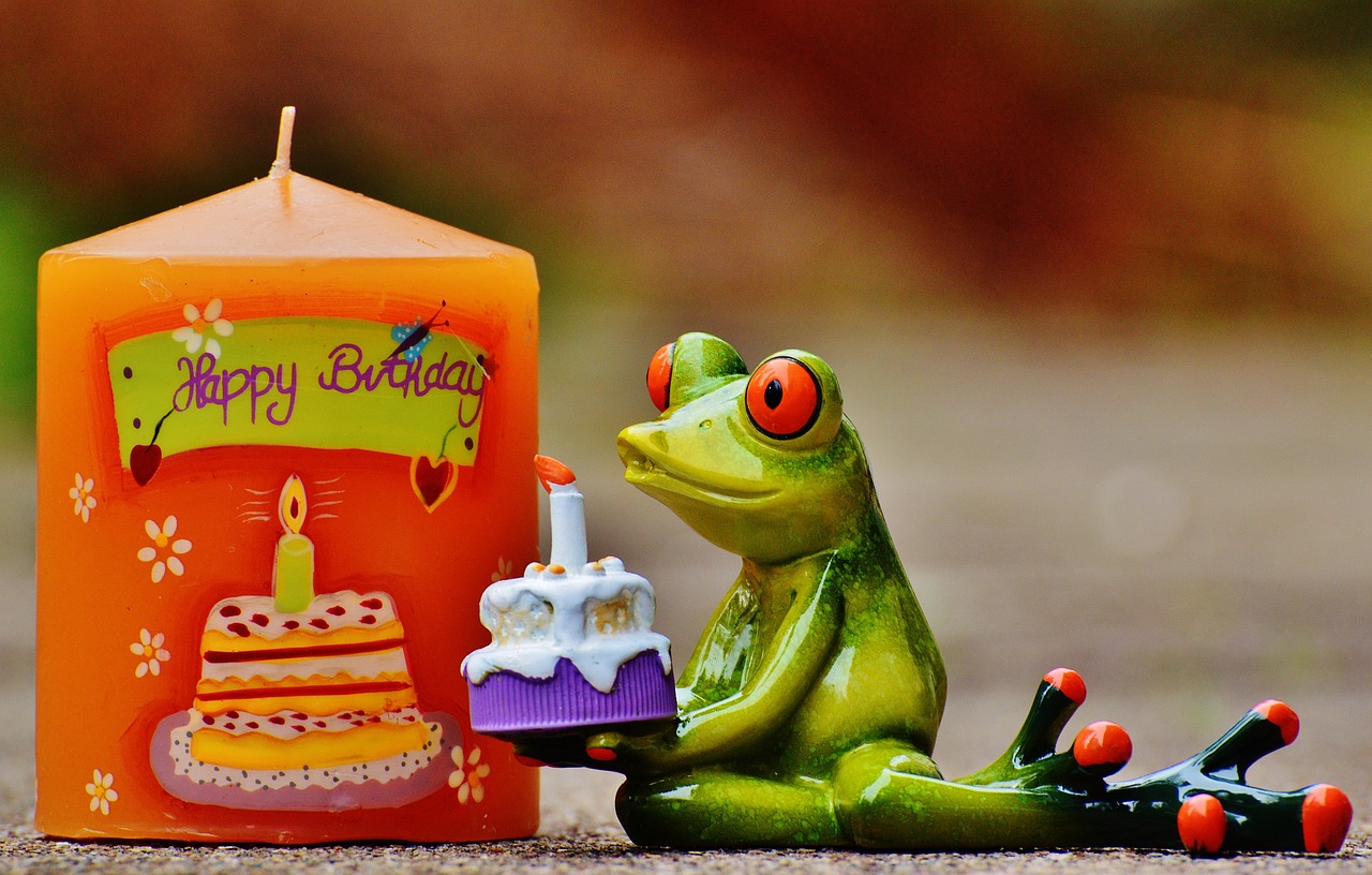 magicien à domicile sur Sornay (71500) - animation anniversaire